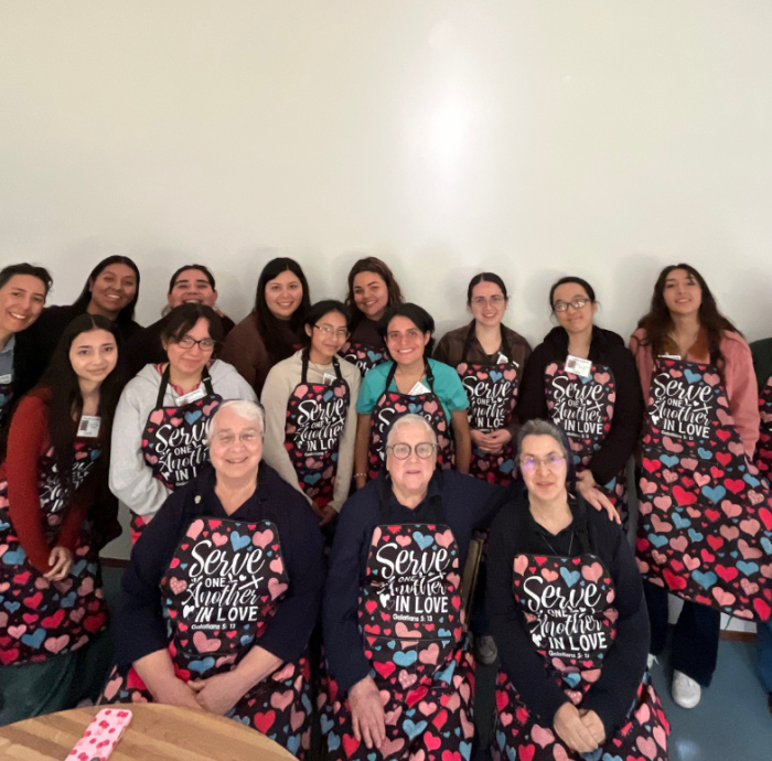 Daughters of Charity Collaborative Ministries